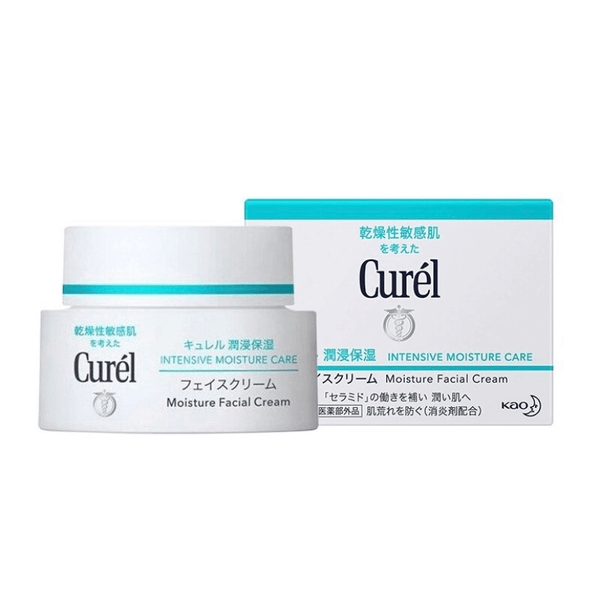 Curel HydraQuench Moisturizing Cream 40g