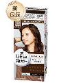 KA Kao LIESE PRETTIA Foam Hair Dye Natural Brown