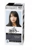 KA0 Kao LIESE PRETTIA Foam Hair Dye Natural Black